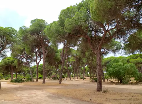 que hacer en chipiona turismo rural